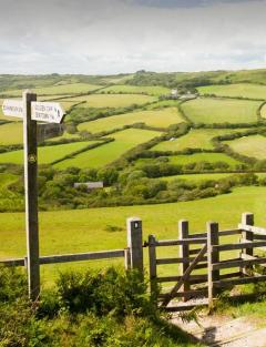 Countryside Walks