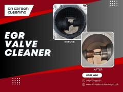 Egr Valve Cleaner