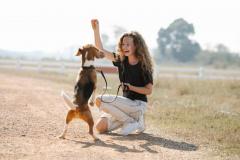 Canine Pawsative Choices - Dog Obedience Trainer