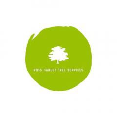 Safe & Skilled Tree Surgeon Harrogate