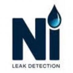 Ni Leak Detection