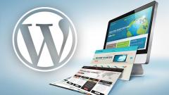 Professional Wordpress Website Development Servi