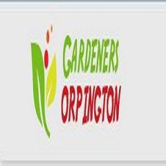 Gardeners Orpington