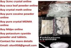 Buy Pure Mdma Xtcecstasy C0Cainecrystal Meth