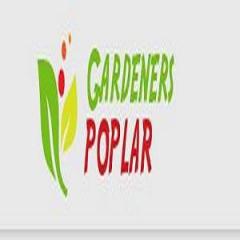 Gardeners Poplar