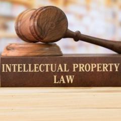 Expert Ip Litigation Lawyer  Protect Your Intell