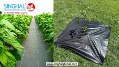 Weed Mats: A Sustainable Solution For Garden And