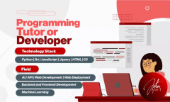 Python Tutor Or Do Any Task In Python Programmin