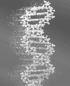 Top Polynucleotide Therapy Services Uk  Dr. Jonn