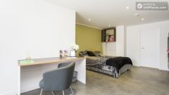 Stylish studio apartment in Hammersmith