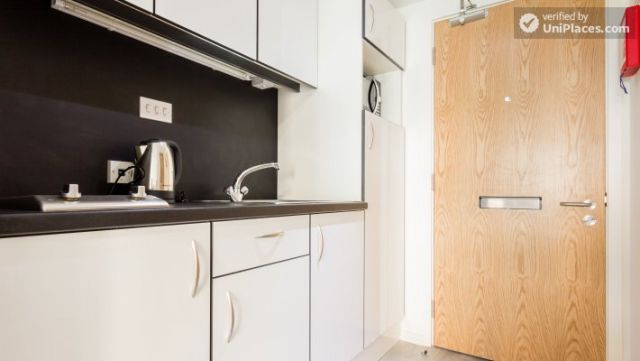 Platinum Studio - New student residence in cheerful North Acton 8 Image