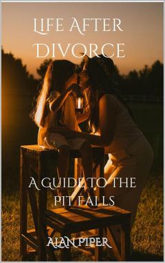 Life After Divorce A Guide To The Pit Falls - Se