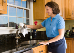 Professional Domestic Cleaning Services