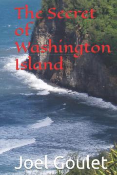 The Secret Of Washington Island Novel By Joel Go