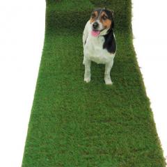 Save Water With Artificial Grass!!