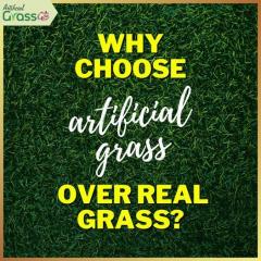 Why Choose Artificial Grass Over Real Grass
