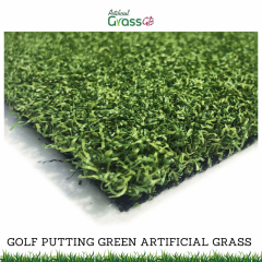 Buy Golf 15Mm Premium Putting Green Artificial G
