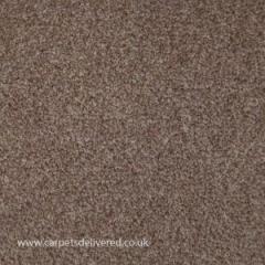 Want To Buy Affordable Carpets Check Out Carpet 