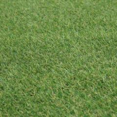 Looking To Know About Artificial Turf Cost? Read