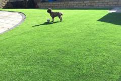 Artificial Grass For Dogs - Perfect For Pet-Frie