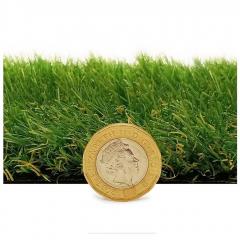 Boundary 30Mm Artificial Grass  Beauty, Comfort 