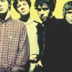 Shed Seven