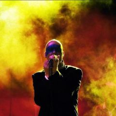 Stipe (R.E.M Tribute