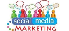 Effective Social Media Strategies By Cartoozo