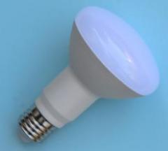 Buy R80 Led At Affordable Price From Saving Ligh