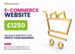 Boost Your Sales With A Professionally E-Commerc