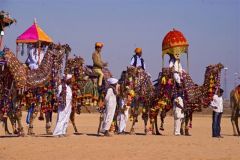 Pushker fair and festival tour Packages in Rajasthan