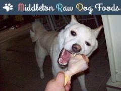 Raw Food For Dogs Manchester