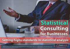Statistical Consulting for Businesses