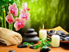 Enjoy The Best Massage In Town Today