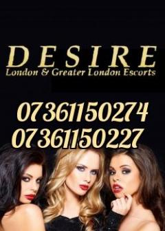 Escorts Wanted - Incall & Outcall -Busy London A