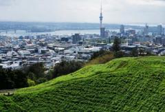 Cheap Flights From Newcastle To Auckland  Book Y