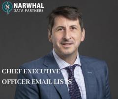 Chief Executive Officer Email List in USA