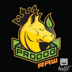 Best Raw Dog Food brands Prodog Raw
