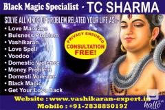 Indian Best Astrologer&Vastu Expert  Guruji