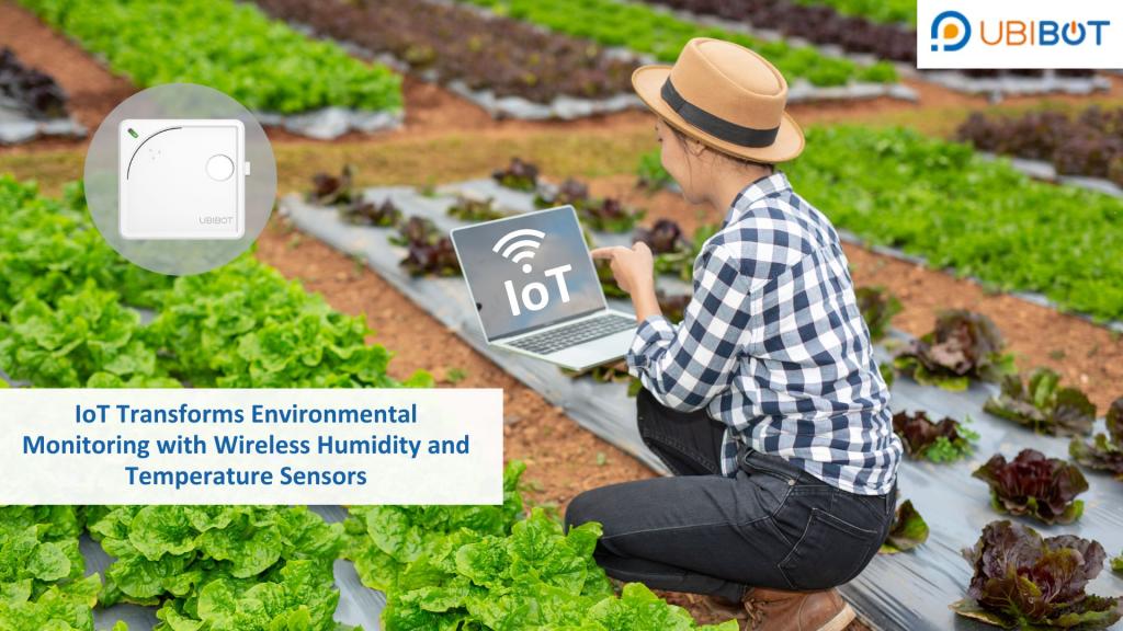 IoT Transforms Environmental Monitoring with Wireless Humidity Sensors 2 Image