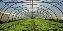 Iot-Based Smart Agriculture Sensors Importance