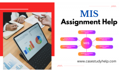 Mis Assignment Help For Mba Students At Best Pri